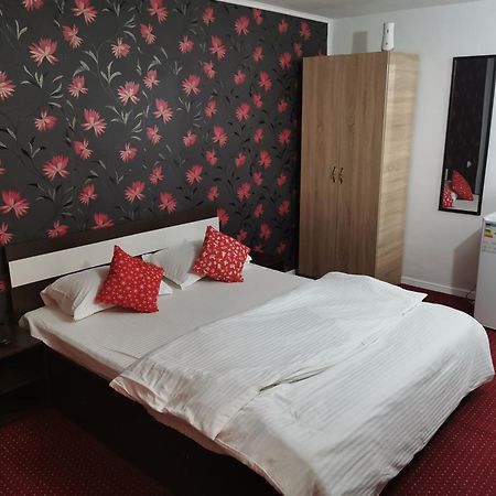 Apartament Casa Davison Târgu Jiu Zewnętrze zdjęcie