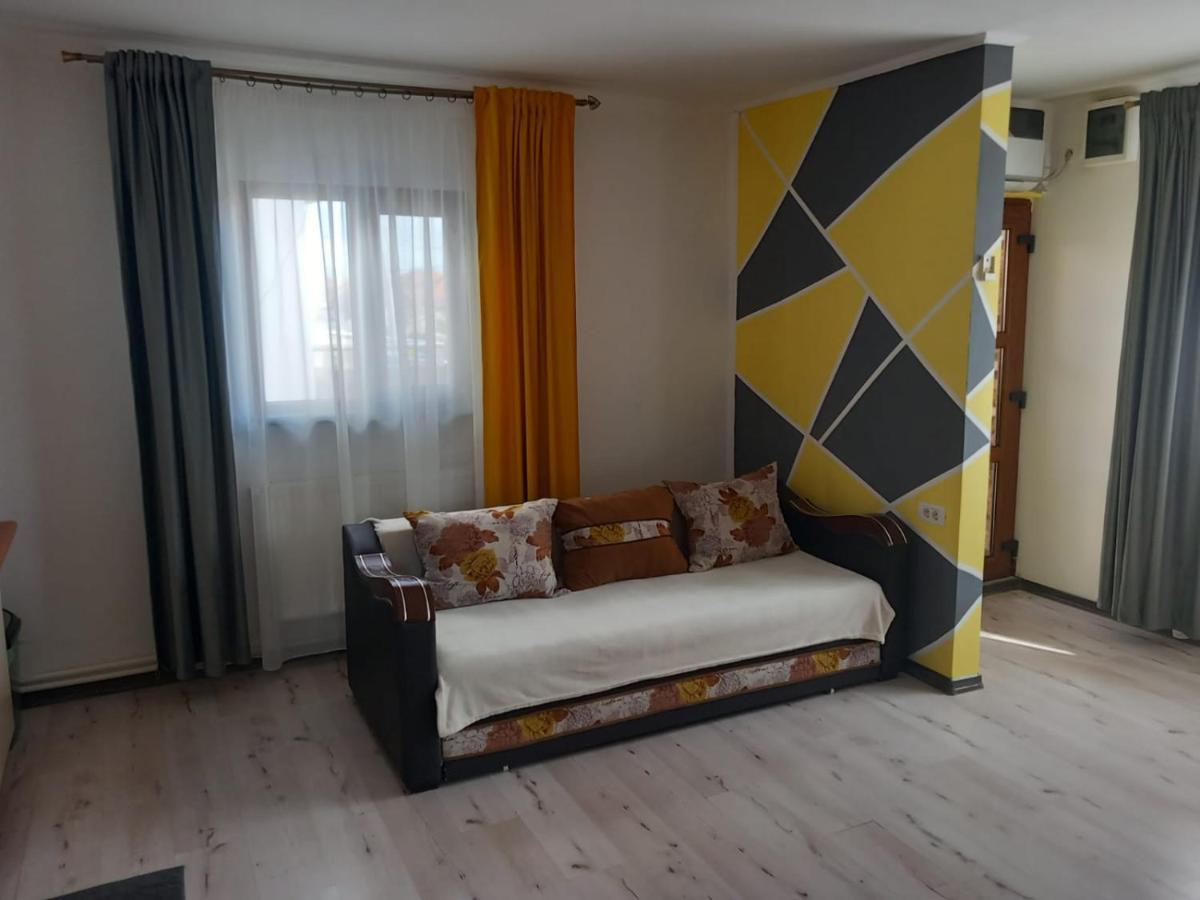 Apartament Casa Davison Târgu Jiu Zewnętrze zdjęcie