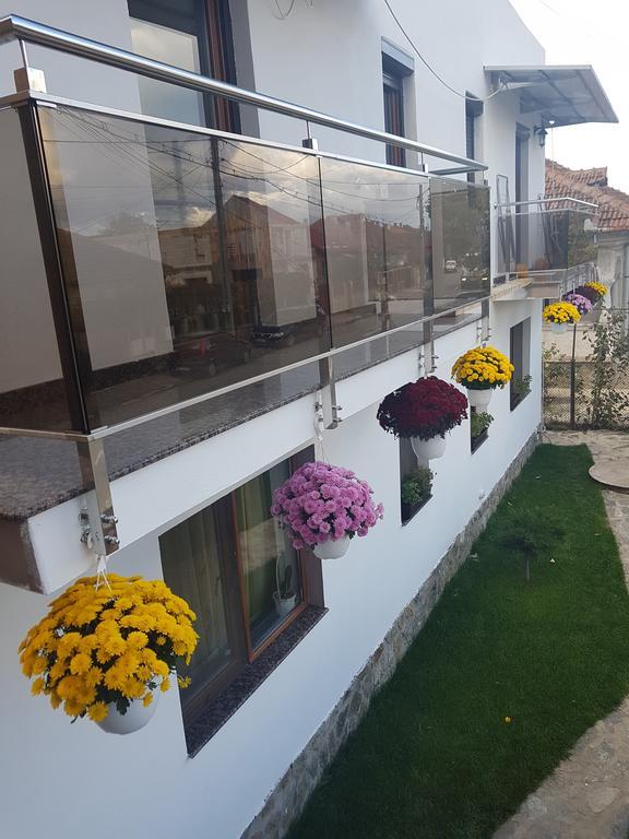 Apartament Casa Davison Târgu Jiu Zewnętrze zdjęcie